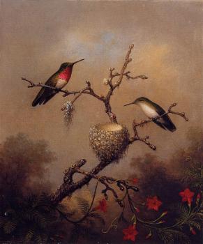 Martin Johnson Heade : Ruby-Throated Hummingbird